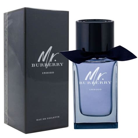 Burberry Mr Burberry Indigo Eau de Toilette 100ml 